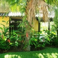 Ver anúncio COD ref#417