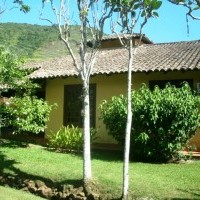 Ver anúncio COD ref#417