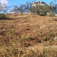 Ver anúncio COD ref#422