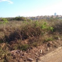 Ver anúncio COD ref#422