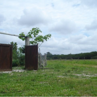 Ver anúncio COD ref#433