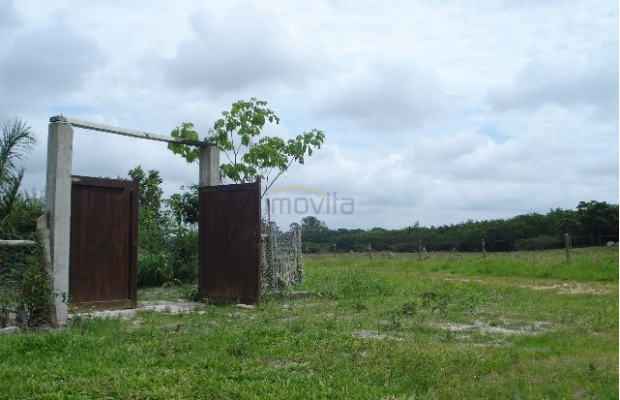 Foto ﾹ4 Pasto Venda em Rio de Janeiro, Cabo Frio (RJ), Sitio S/N