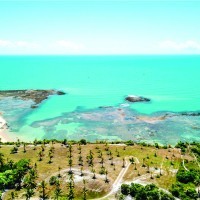 Ver anúncio COD ref#446