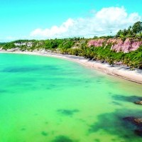 Ver anúncio COD ref#446