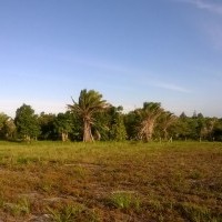 Ver anúncio COD ref#446