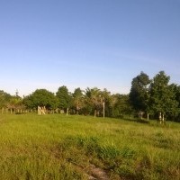 Ver anúncio COD ref#446