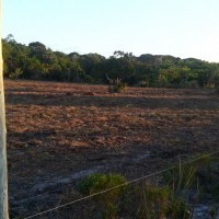 Ver anúncio COD ref#446