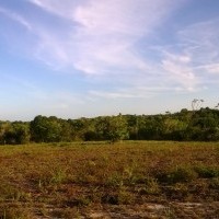 Ver anúncio COD ref#446