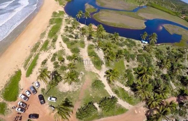 Foto ﾹ1 Pasto Venda em Bahia, Porto Seguro, Praia de Mogiquiçaba