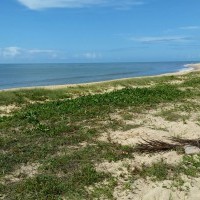 Ver anúncio COD ref#459