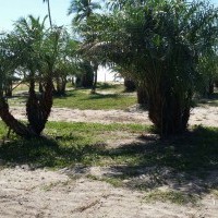 Ver anúncio COD ref#459