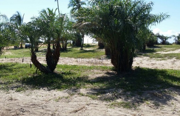 Foto ﾹ4 Pasto Venda em Bahia, Porto Seguro, Praia de Mogiquiçaba