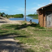 Ver anúncio COD ref#459