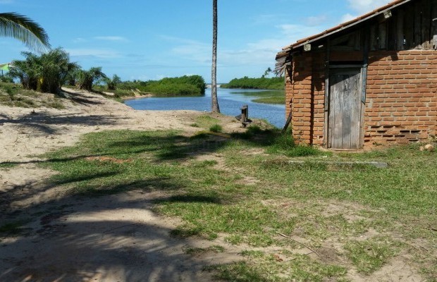 Foto ﾹ6 Pasto Venda em Bahia, Porto Seguro, Praia de Mogiquiçaba