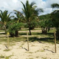 Ver anúncio COD ref#459