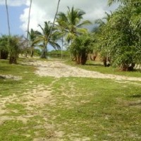 Ver anúncio COD ref#459