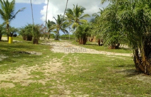 Foto ﾹ8 Pasto Venda em Bahia, Porto Seguro, Praia de Mogiquiçaba