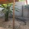 Foto ﾹ5 Casa Venda em Bahia, Porto Seguro, Vila Verde