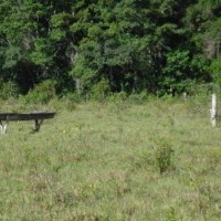 Ver anúncio COD ref#511