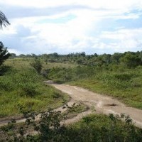 Ver anúncio COD ref#511