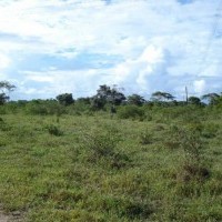 Ver anúncio COD ref#511