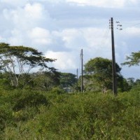 Ver anúncio COD ref#511