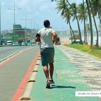 Ver anúncio COD ref#522