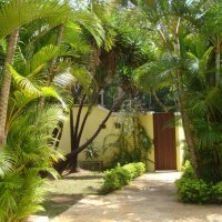 Ver anúncio COD ref#556