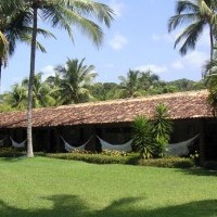 Ver anúncio COD ref#600