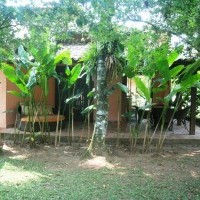 Ver anúncio COD ref#631