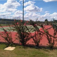 Ver anúncio COD ref#674