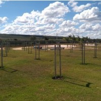 Ver anúncio COD ref#674