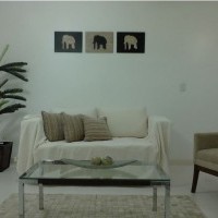 Ver anúncio COD ref#683