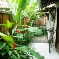 Ver anúncio COD ref#713