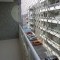 Foto ﾹ4 Apartamento Venda em Rio de Janeiro, Cabo Frio (RJ), Jardim Caiçara