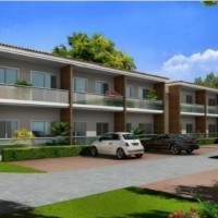 Ver anúncio COD ref#735