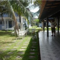 Ver anúncio COD ref#744