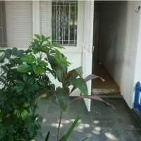 Ver anúncio COD ref#745