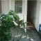 Foto ﾹ3 Casa Venda em Rio de Janeiro, Cabo Frio (RJ), Portinho