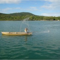 Ver anúncio COD ref#763