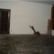 Foto ﾹ23 Casa Venda em Rio de Janeiro, Cabo Frio (RJ), Portinho