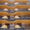 Foto ﾹ1 Apartamento Venda em Rio de Janeiro, Cabo Frio (RJ), Algodoal