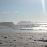 Ver anúncio COD ref#781