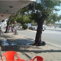 Ver anúncio COD ref#784