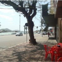 Ver anúncio COD ref#784