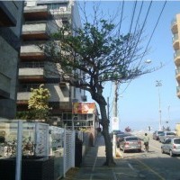 Ver anúncio COD ref#812