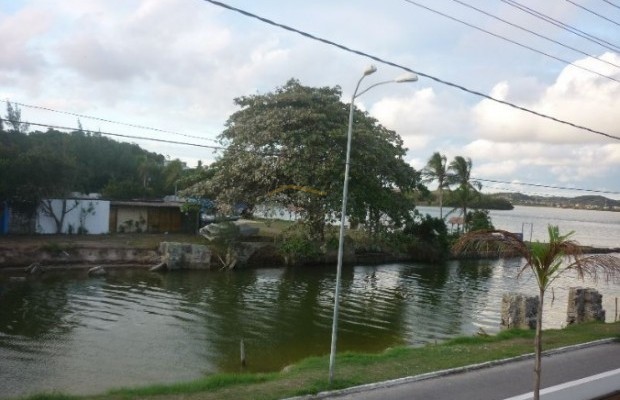 Foto ﾹ17 Casa Venda em Rio de Janeiro, Cabo Frio (RJ), Palmeiras