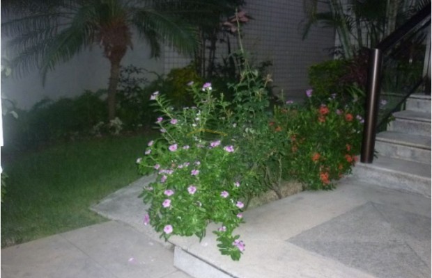 Foto ﾹ2 Apartamento Venda em Rio de Janeiro, Cabo Frio (RJ), Algodoal