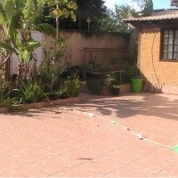 Ver anúncio COD ref#825