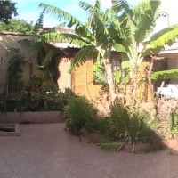 Ver anúncio COD ref#825